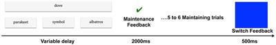 Age-Related Shift in Neuro-Activation during a Word-Matching Task